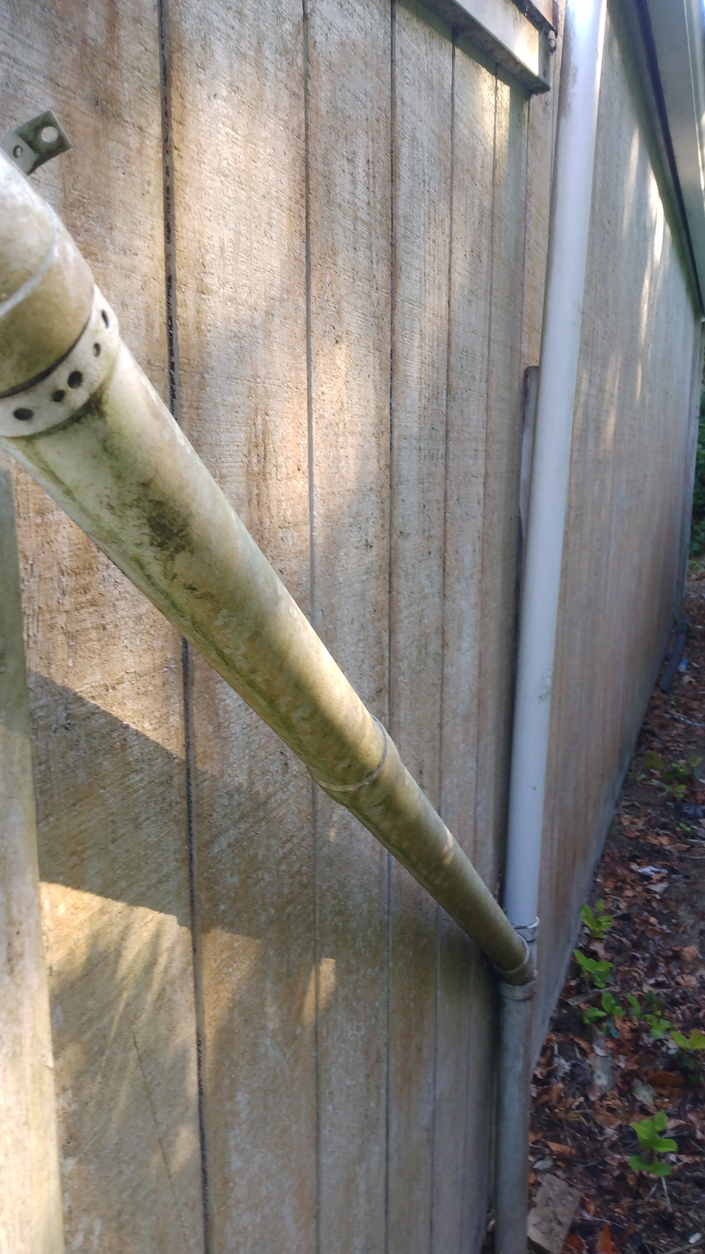 Heavy Algae Siding Wash in Newport, OR